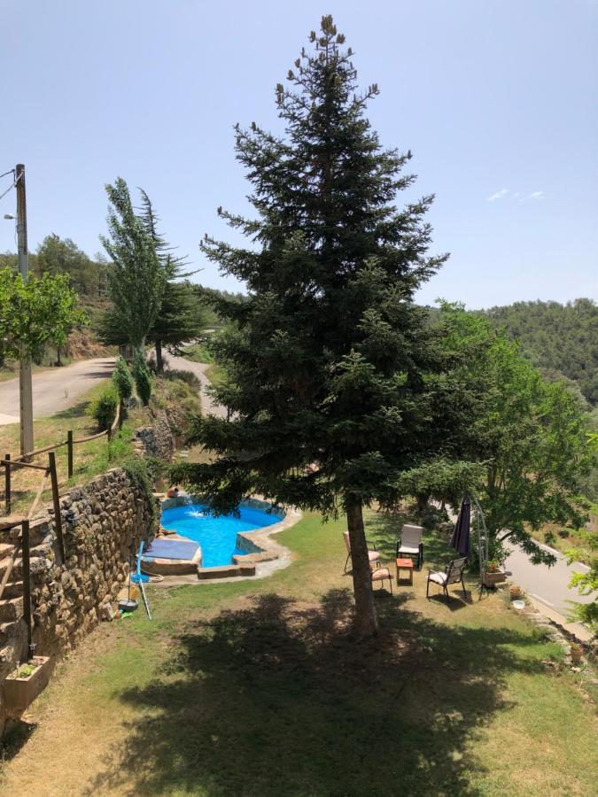 Casa Rural Sant Petrus De Madrona Pinell de Solsones Екстериор снимка